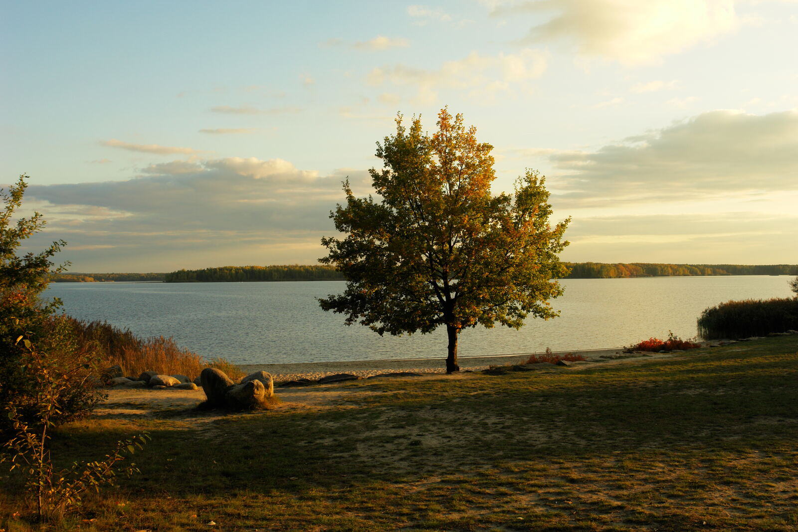 Herbstabend am Senftenberger See