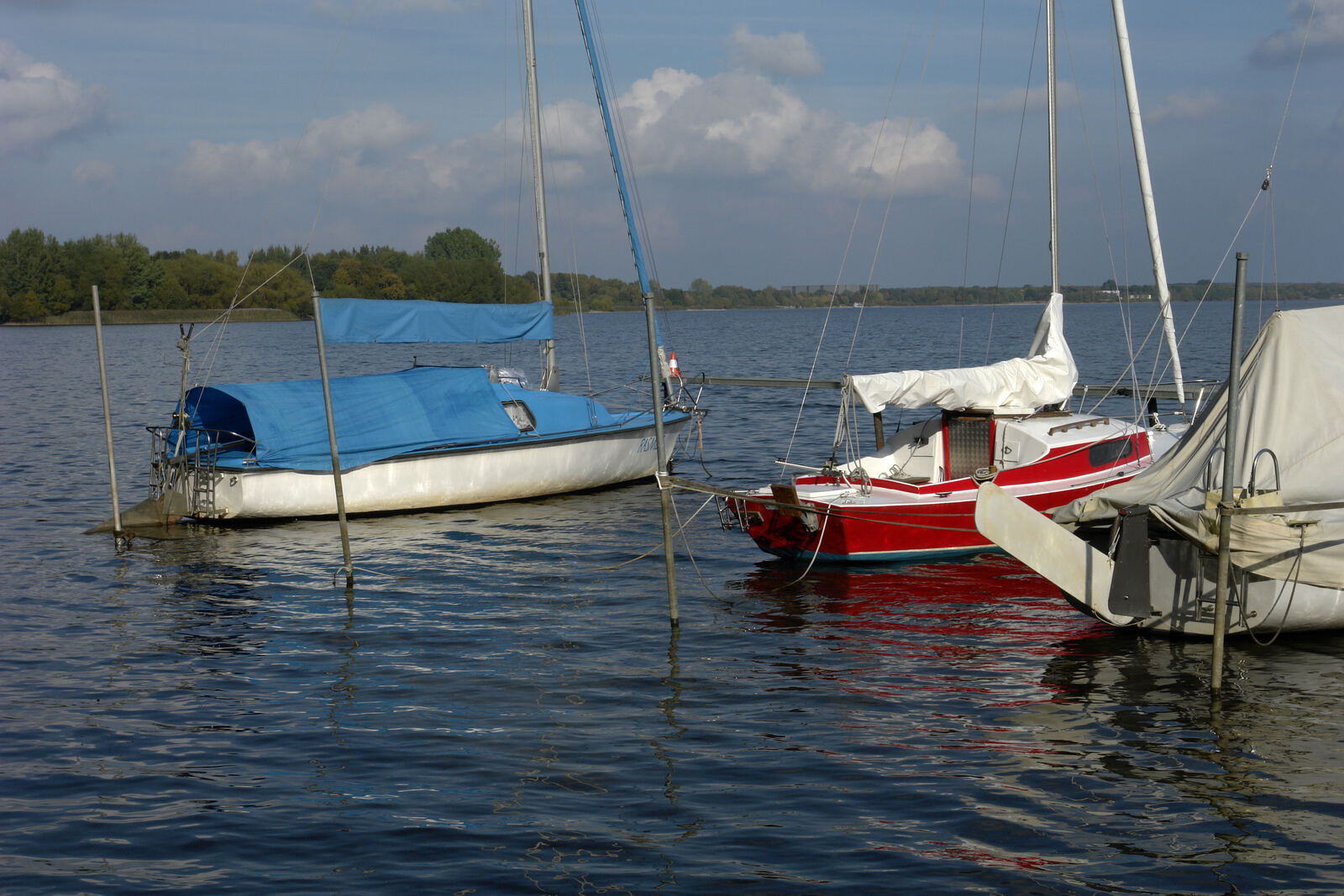 Segelboote am Senftenberger See